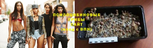 гидра Абинск