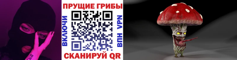 Галлюциногенные грибы Psilocybe  Братск 