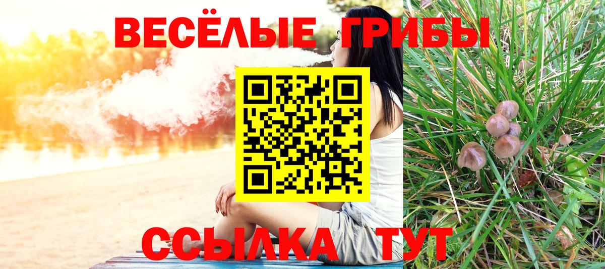 Псилоцибиновые грибы Cubensis Братск