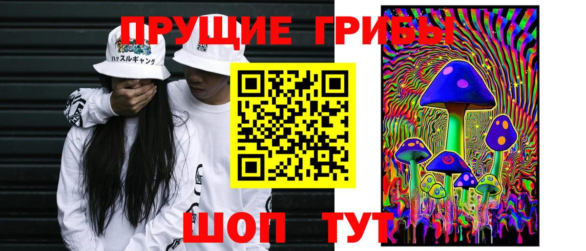 МЕФ Братск