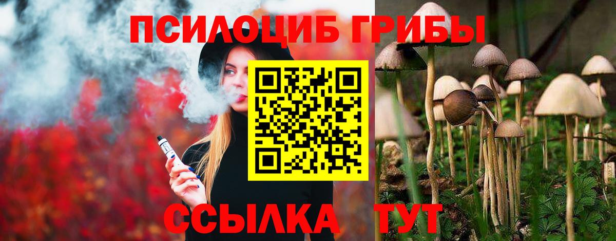 купить закладку  Вход с VPN  Галлюциногенные грибы мухоморы  Братск  Галлюциногенные грибы ЛСД 
