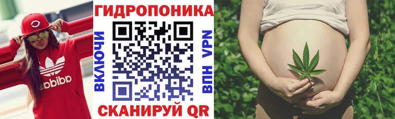 Каннабис план  нарко площадка какой сайт  Братск 